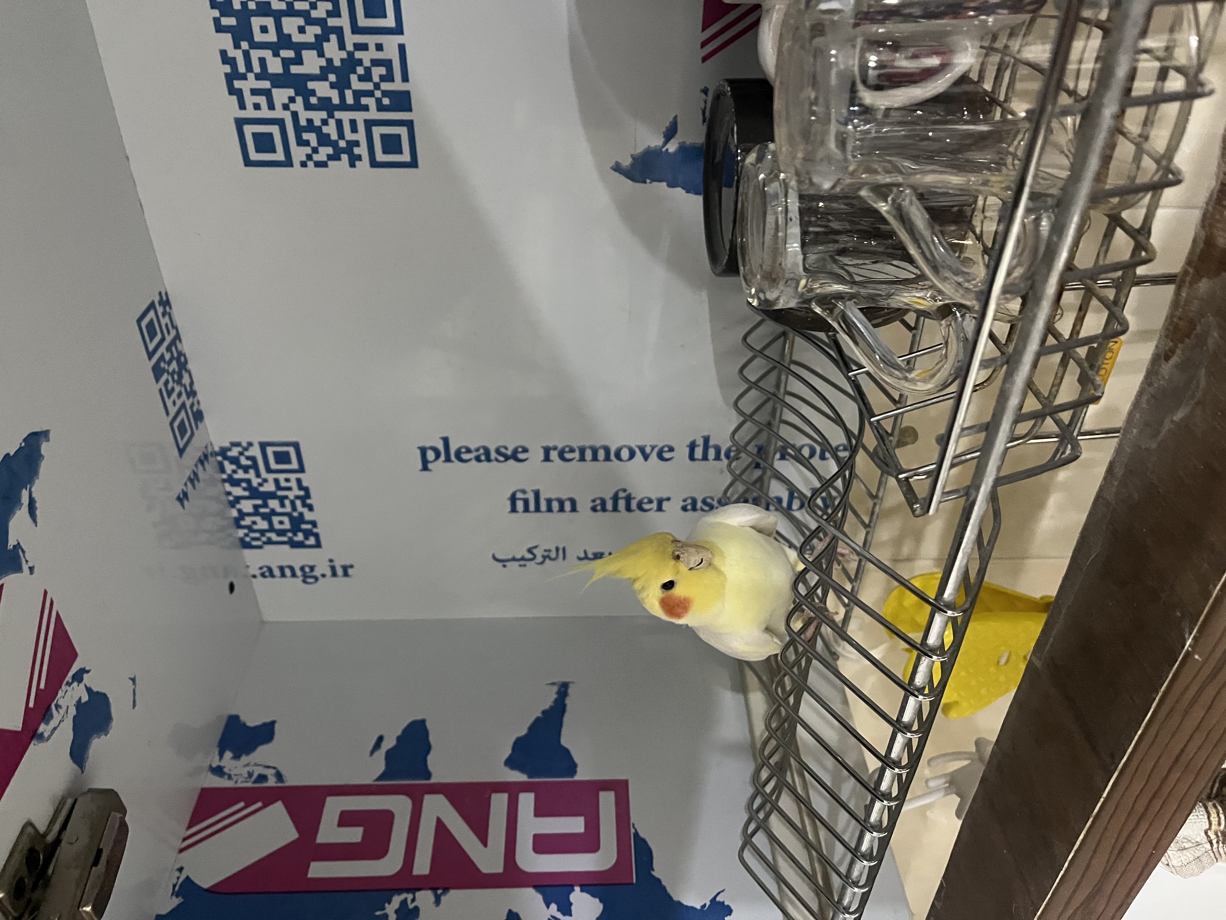 پست گندم